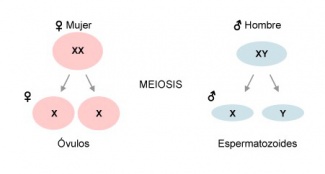 &iquest;Se puede cambiar el sexo?