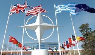 Finalmente libres de miedo