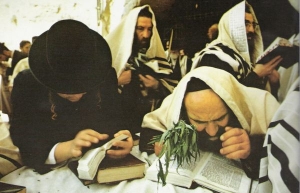 Teolog&iacute;a del reemplazo