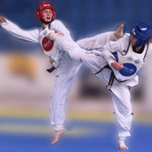 El fen&oacute;meno de las artes marciales