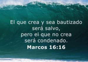 Persecuciones Desde Todos los Ángulos