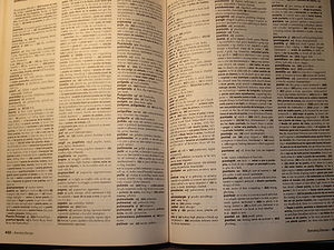 Diccionario de Mam&aacute;