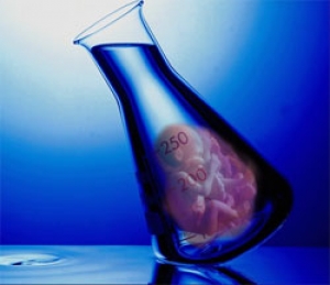 Manipulaci&oacute;n Gen&eacute;tica