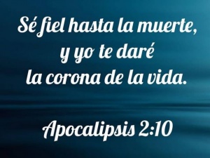 Chester Allen Bitterman