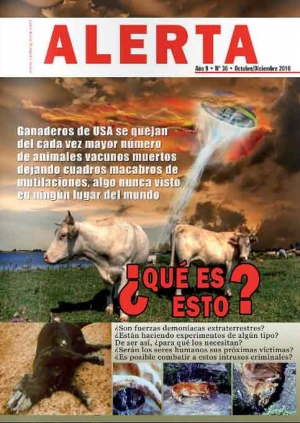 Revista N&deg; 36