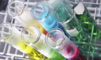 &iquest;Por qu&eacute; todo es de la forma que es?