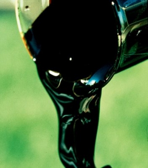 &iexcl;Dios cre&oacute; el petr&oacute;leo!