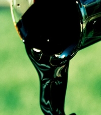 &iexcl;Dios cre&oacute; el petr&oacute;leo!